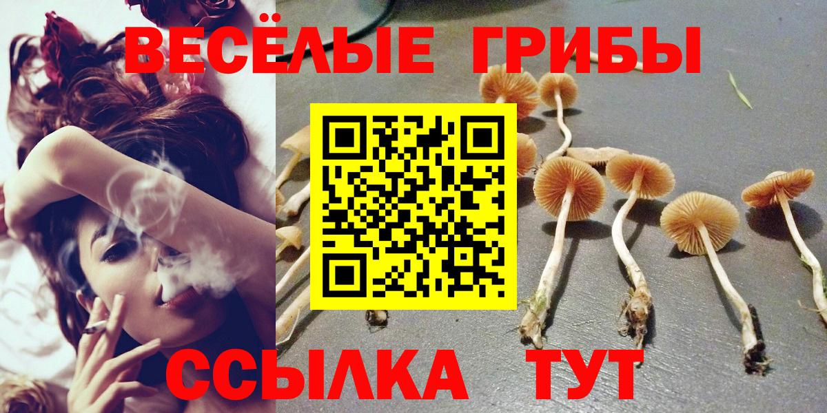 Псилоцибиновые грибы мицелий Лыткарино